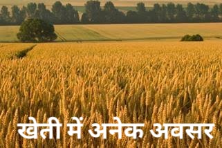 Image शिक्षा व्यवस्था की कुछ बुनियादी कमियाँ